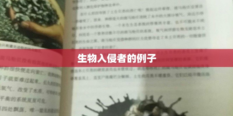 生物入侵者的例子