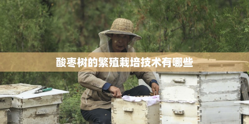 酸枣树的繁殖栽培技术有哪些