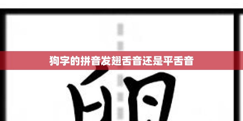狗字的拼音发翅舌音还是平舌音