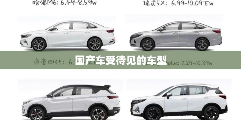 国产车受待见的车型