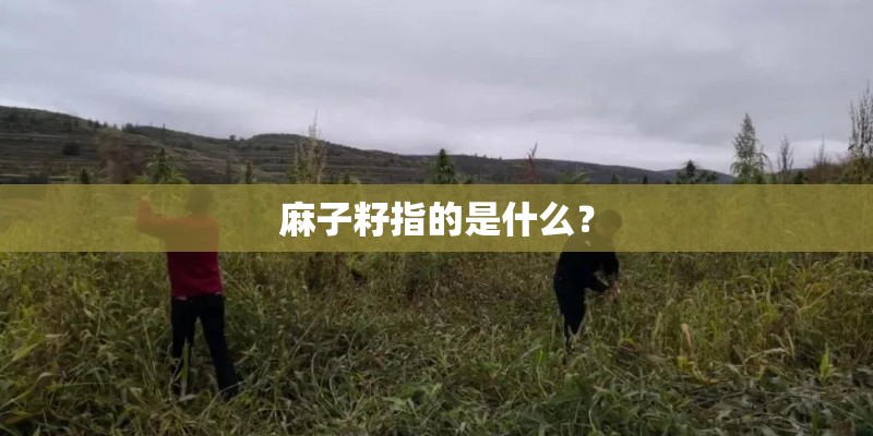 麻子籽指的是什么? 麻子籽指的是什么?
