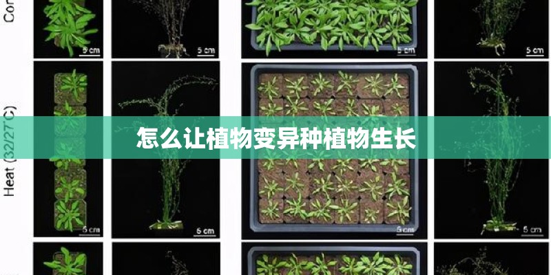 怎么让植物变异种植物生长