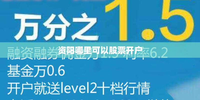 资阳哪里可以股票开户