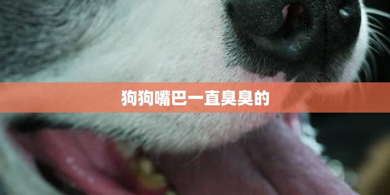 狗狗嘴巴一直臭臭的