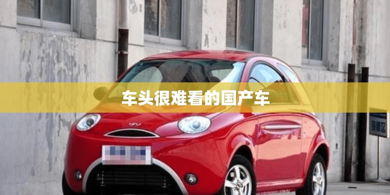 车头很难看的国产车