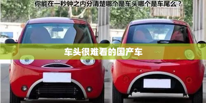 车头很难看的国产车