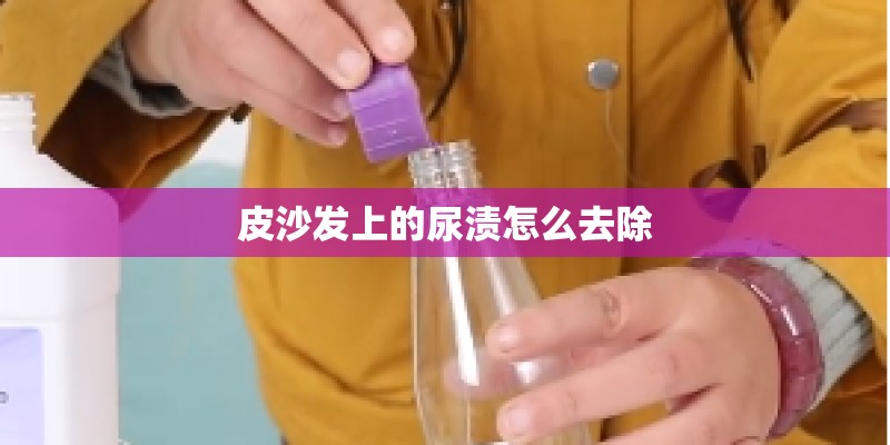 皮沙发上的尿渍怎么去除 皮沙发上的尿渍怎么去除