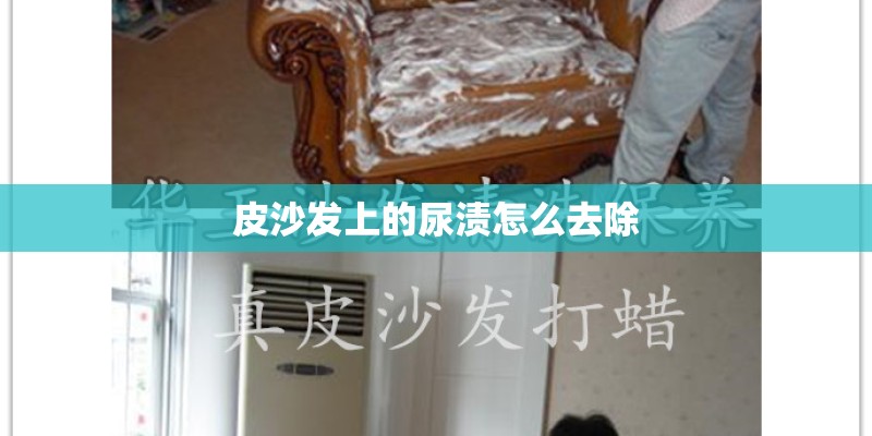 皮沙发上的尿渍怎么去除 皮沙发上的尿渍怎么去除