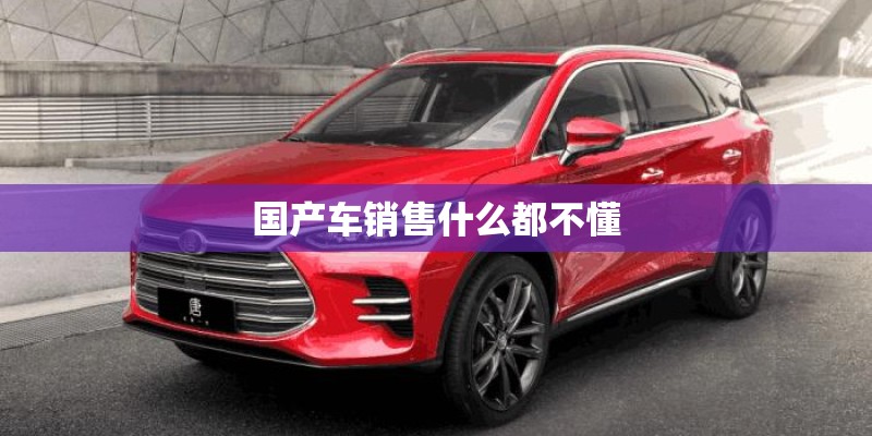 国产车销售什么都不懂