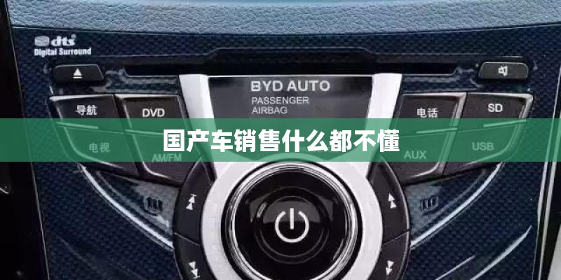 国产车销售什么都不懂