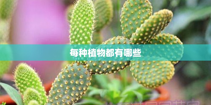 每种植物都有哪些