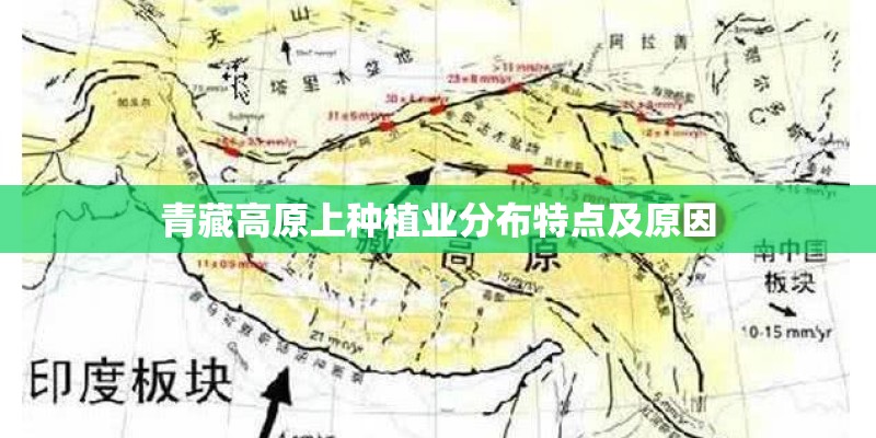 青藏高原上种植业分布特点及原因