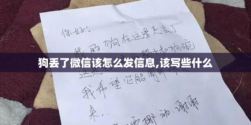 狗丢了微信该怎么发信息,该写些什么