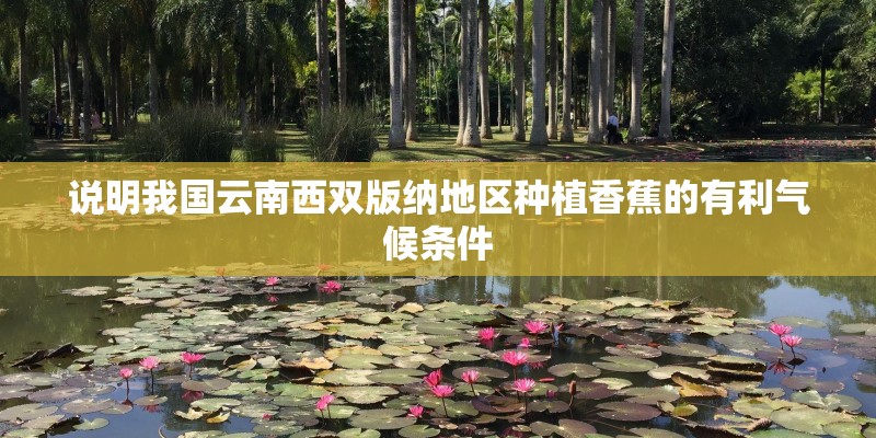说明我国云南西双版纳地区种植香蕉的有利气候条件 说明我国云南西双版纳地区种植香蕉的有利气候条件