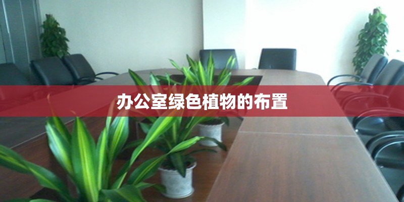 办公室绿色植物的布置