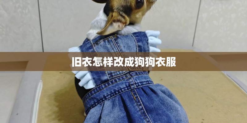 旧衣怎样改成狗狗衣服