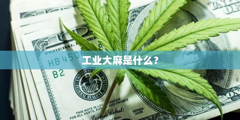 工业大麻是什么？