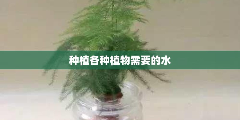 种植各种植物需要的水