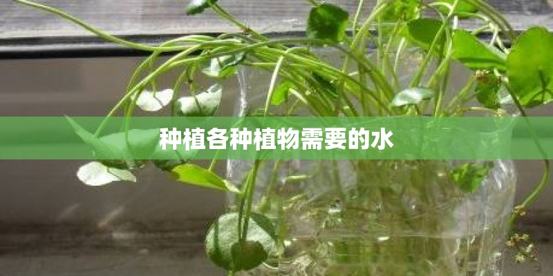 种植各种植物需要的水
