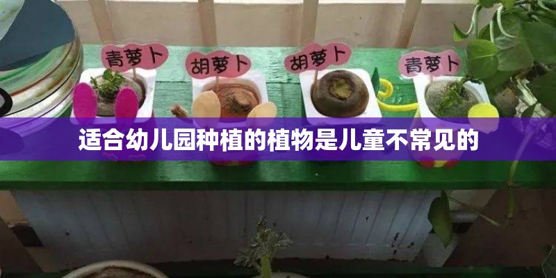 适合幼儿园种植的植物是儿童不常见的