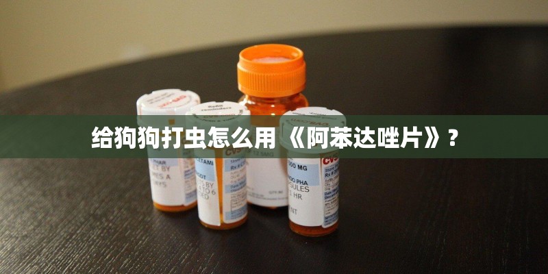 给狗狗打虫怎么用 《阿苯达唑片》？