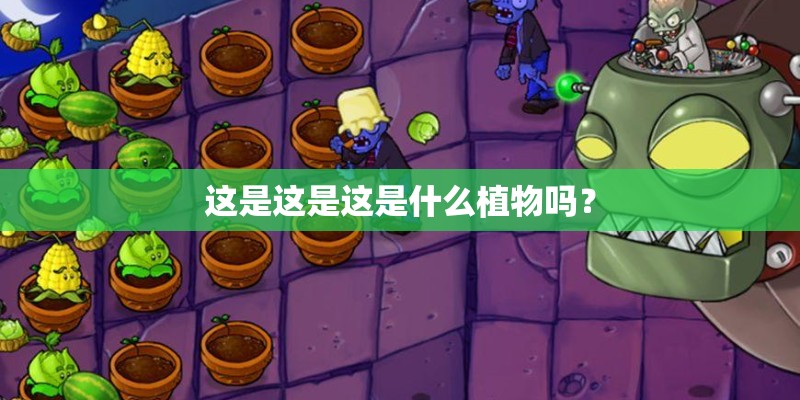 这是这是这是什么植物吗？