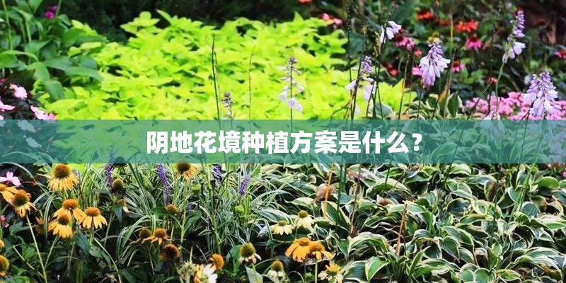阴地花境种植方案是什么？