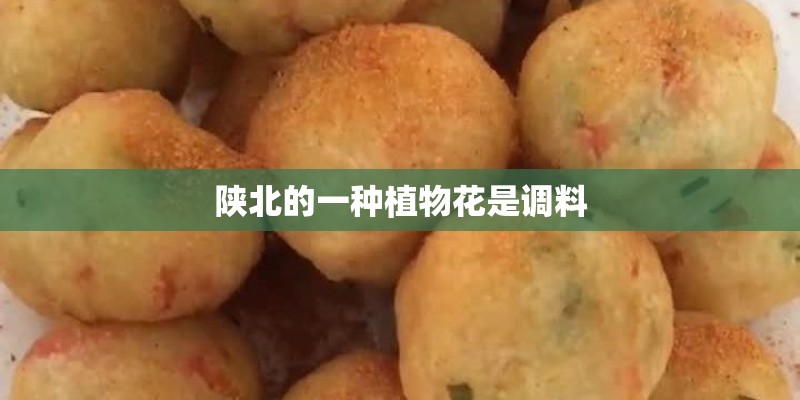 陕北的一种植物花是调料