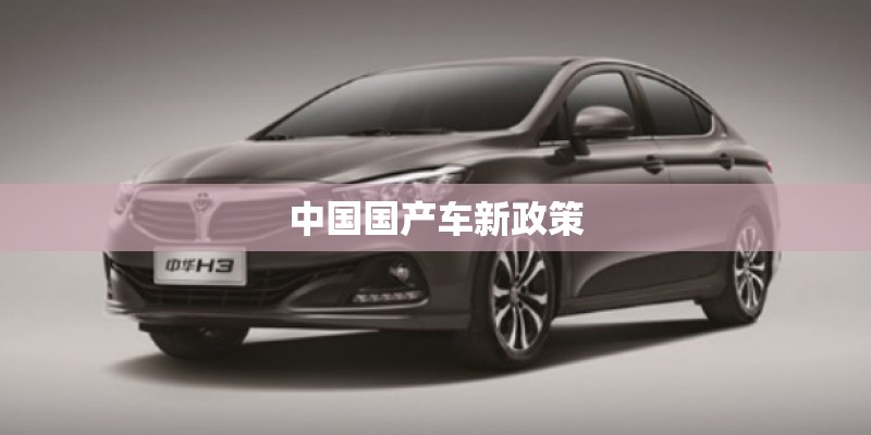 中国国产车新政策