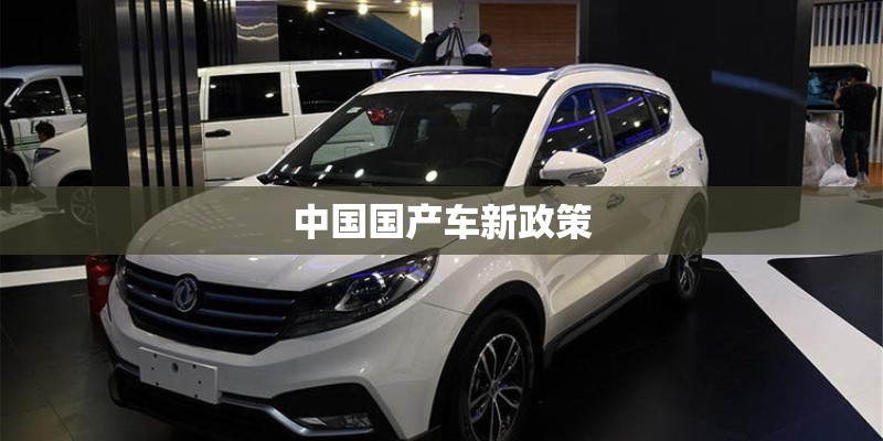 中国国产车新政策