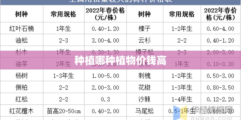 种植哪种植物价钱高