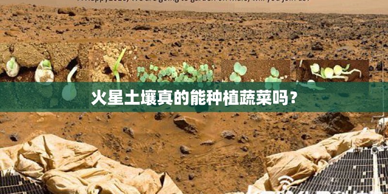 火星土壤真的能种植蔬菜吗？