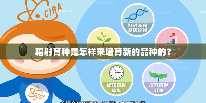垂耳兔要怎么洗 垂耳兔要怎么洗