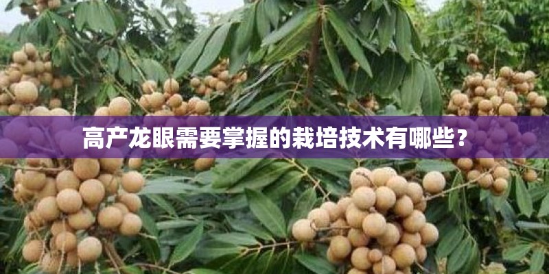 高产龙眼需要掌握的栽培技术有哪些？