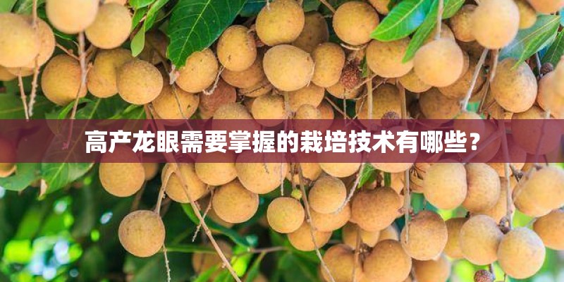 高产龙眼需要掌握的栽培技术有哪些？