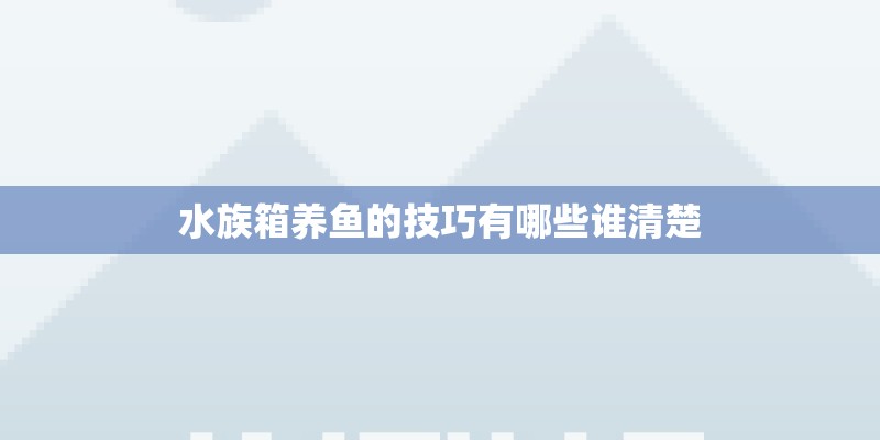 水族箱养鱼的技巧有哪些谁清楚