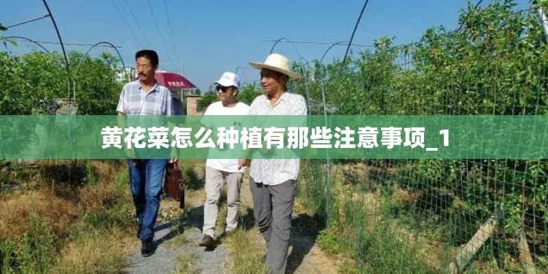 狗狗受惊吓呕吐怎么办？