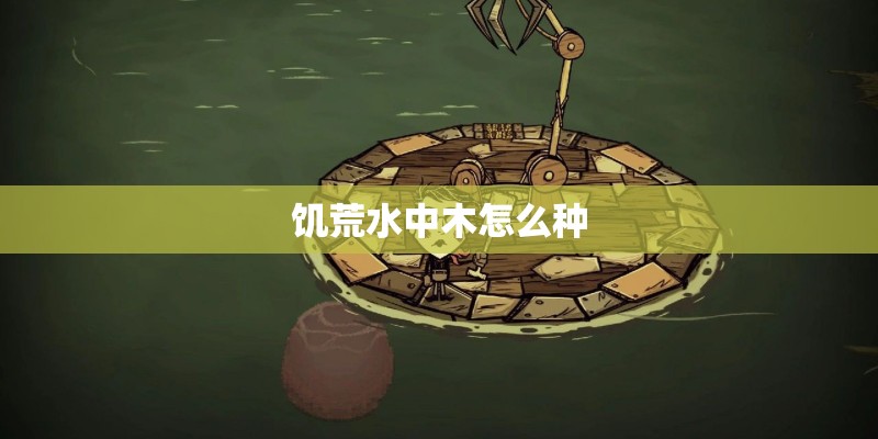 饥荒水中木怎么种