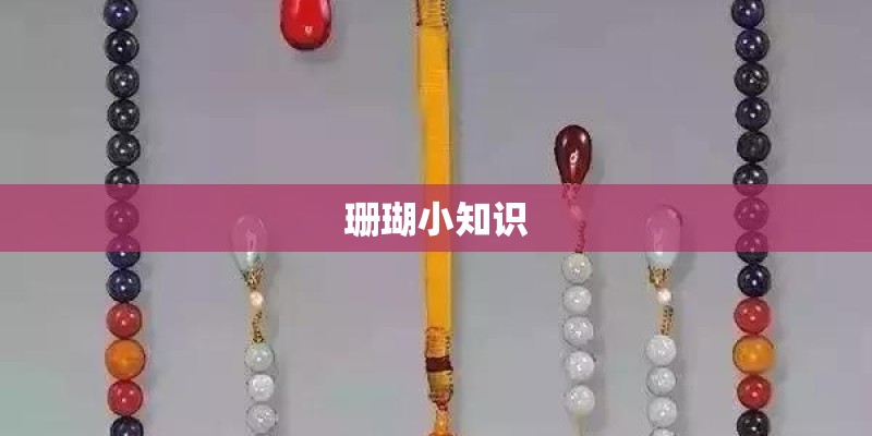 珊瑚小知识