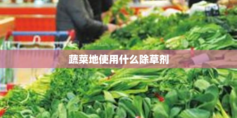 蔬菜地使用什么除草剂