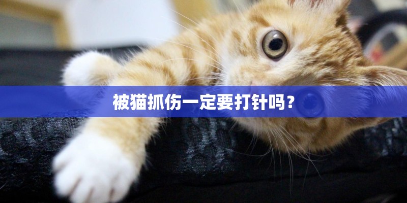 被猫抓伤一定要打针吗？