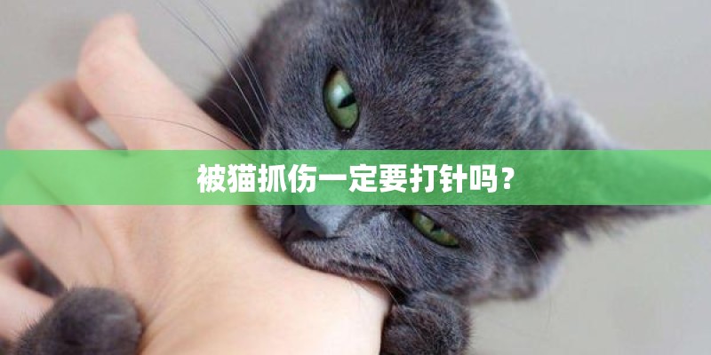 被猫抓伤一定要打针吗？