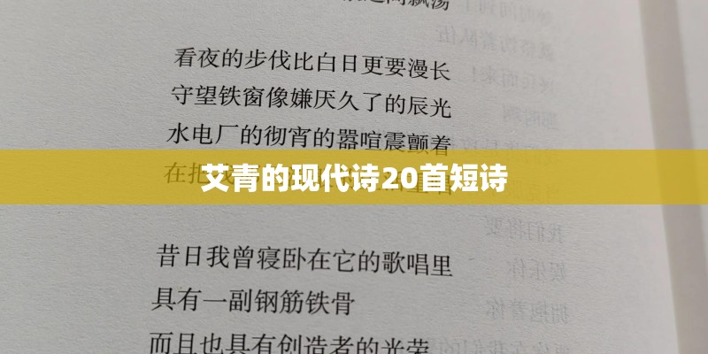 艾青的现代诗20首短诗