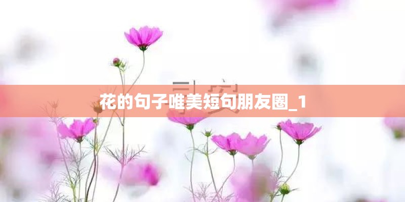 花的句子唯美短句朋友圈_1