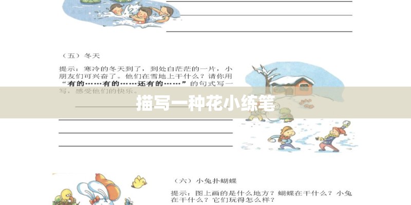 描写一种花小练笔
