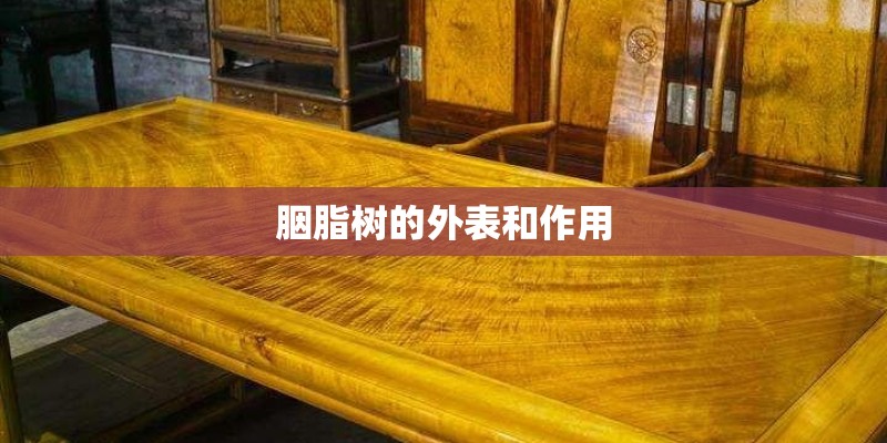 胭脂树的外表和作用