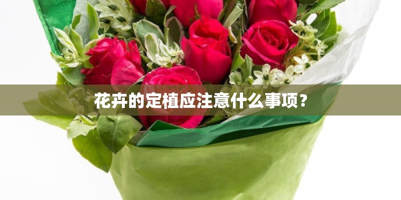 花卉的定植应注意什么事项？