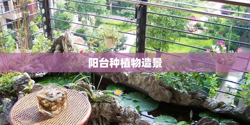 阳台种植物造景