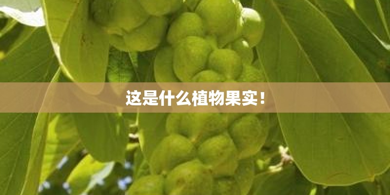 美术教案