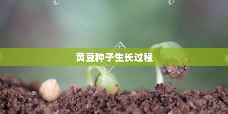 全职猎人片头曲Believe In Tomorrow的罗马音